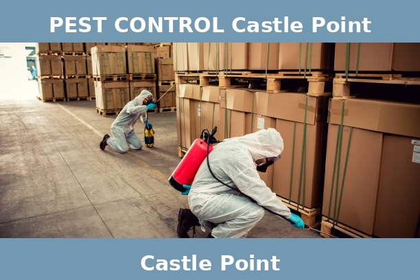 PEST CONTROL Castle Point